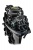 Reef Rider outboard motors RR40FFES_04